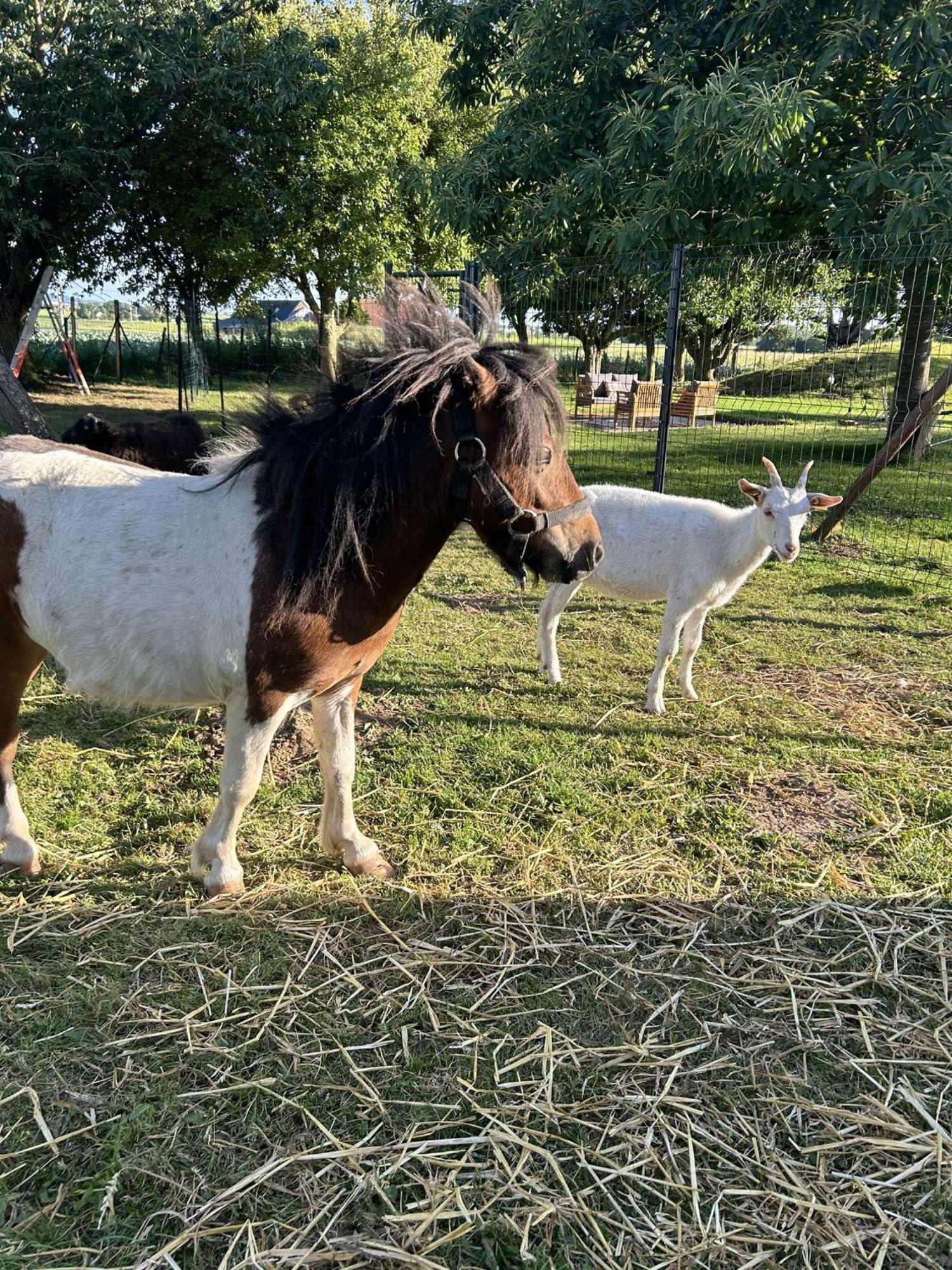 O Coeur Des Monts Et Merveilles Wormhout Buitenkant foto